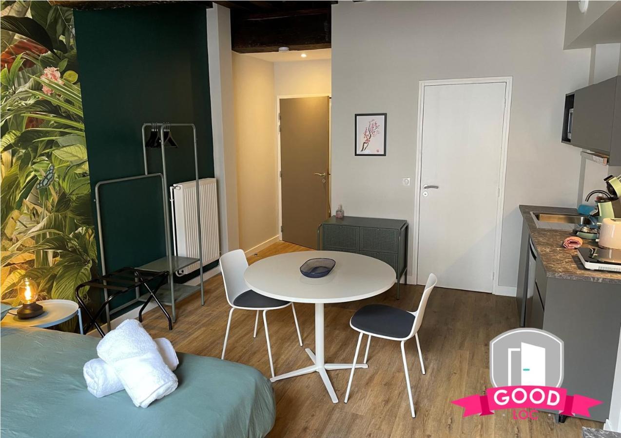Apartament Somptueux Studio Hyper Centre Avec Wifi Orlean Zewnętrze zdjęcie