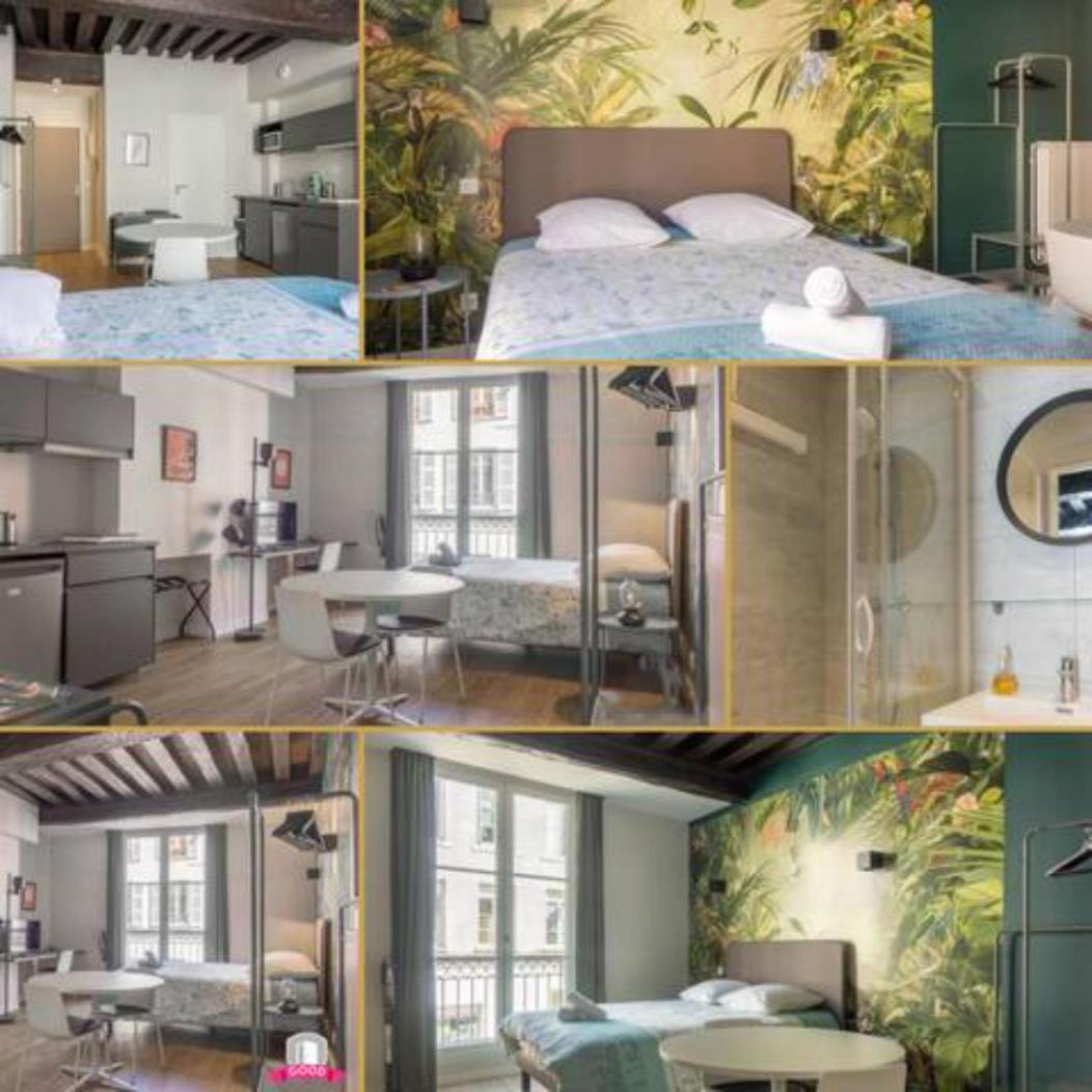 Apartament Somptueux Studio Hyper Centre Avec Wifi Orlean Zewnętrze zdjęcie