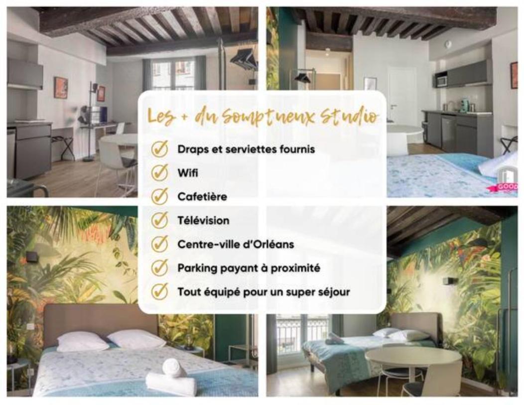 Apartament Somptueux Studio Hyper Centre Avec Wifi Orlean Zewnętrze zdjęcie